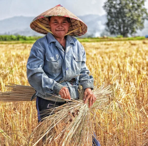 There are many variations of passages of Lorem Ipsum available, but majority have suffered teration in some form, by injected humour, or randomised words which don't look even slight believable. If you are going to use a passage of Lorem Ipsum.