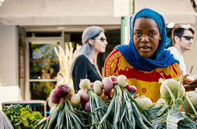 Ultrices sagittis orci a scelerisque purus semper eget duis at. Sollicitudin nibh sit amet.